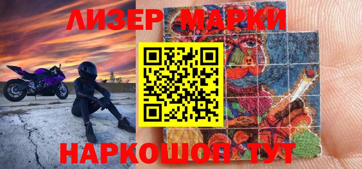 МЕФ Курчалой