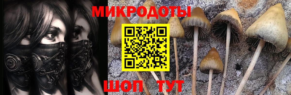 Галлюциногенные грибы Magic Shrooms  Вход с VPN  Курчалой 