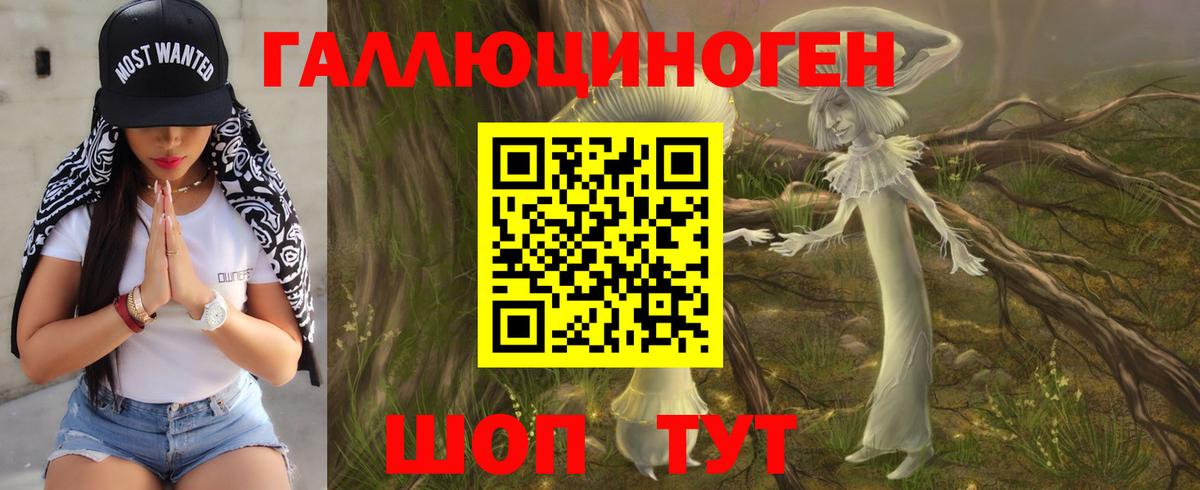 Галлюциногенные грибы мухоморы Курчалой